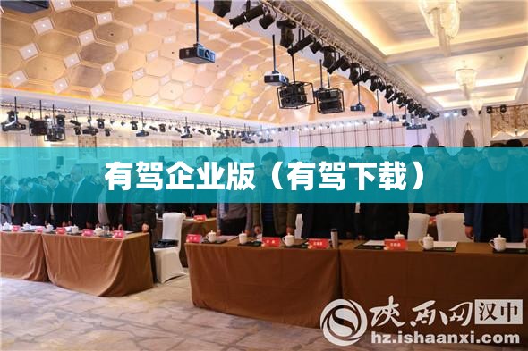 有驾企业版（有驾下载）