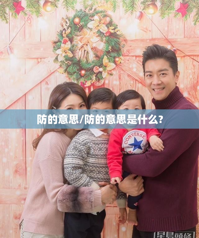 防的意思/防的意思是什么?