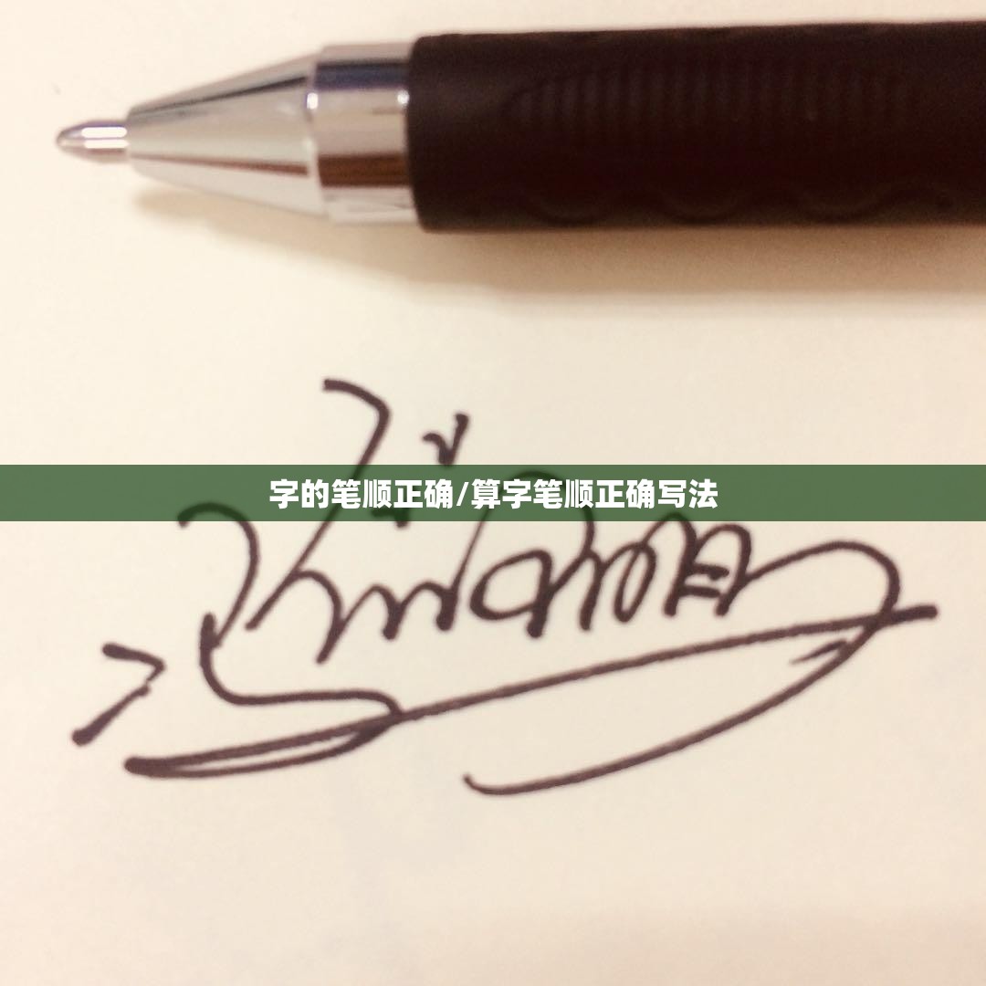 字的笔顺正确/算字笔顺正确写法