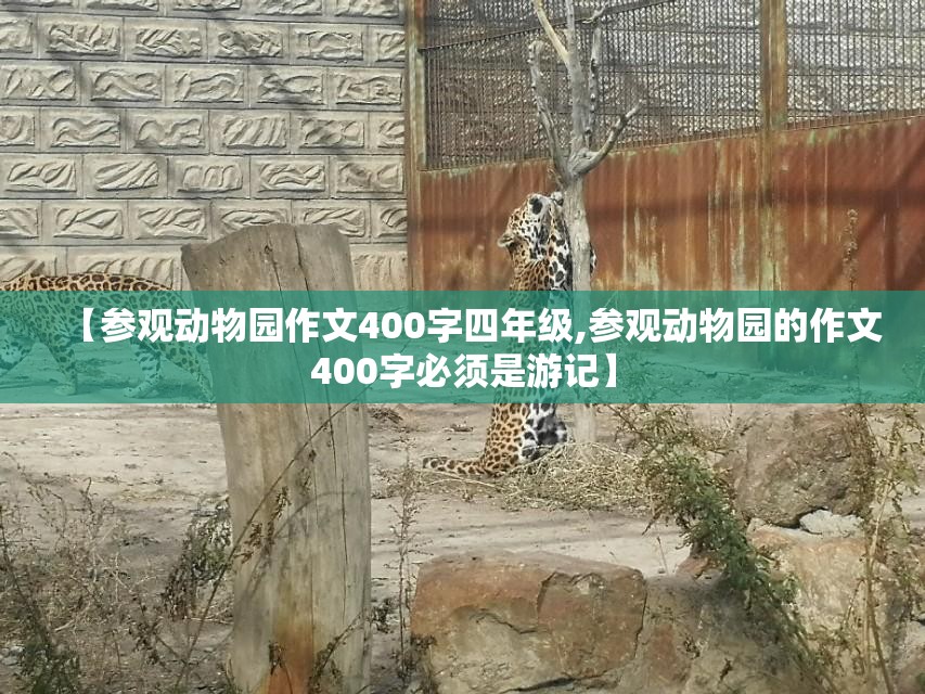 【参观动物园作文400字四年级,参观动物园的作文400字必须是游记】