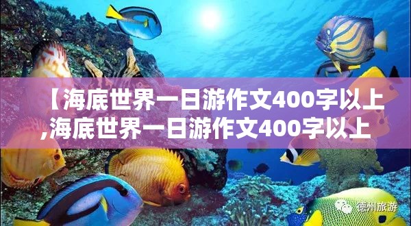 【海底世界一日游作文400字以上,海底世界一日游作文400字以上怎么写】