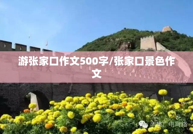 游张家口作文500字/张家口景色作文
