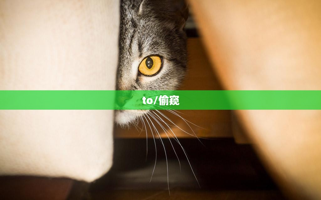 to/偷窥