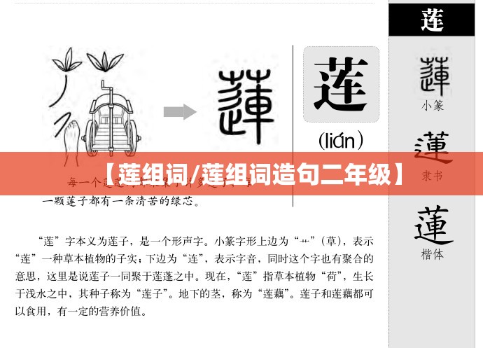 【莲组词/莲组词造句二年级】