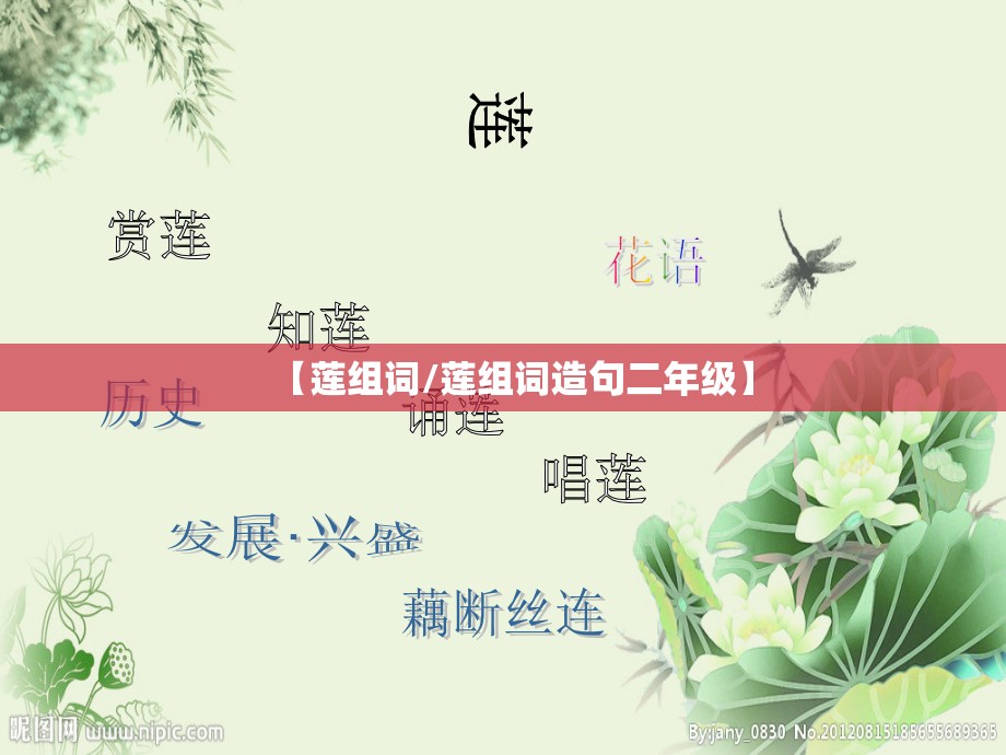 【莲组词/莲组词造句二年级】