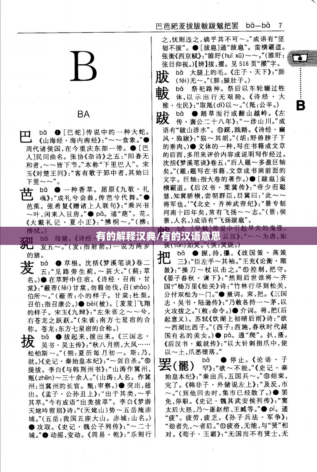 有的解释汉典/有的汉语意思
