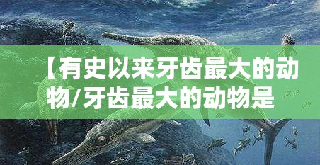 【有史以来牙齿最大的动物/牙齿最大的动物是谁】