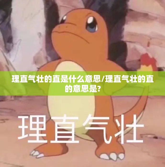 理直气壮的直是什么意思/理直气壮的直的意思是?