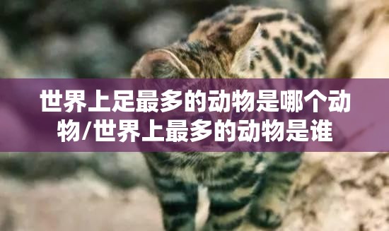 世界上足最多的动物是哪个动物/世界上最多的动物是谁
