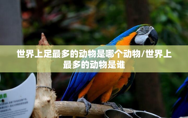 世界上足最多的动物是哪个动物/世界上最多的动物是谁