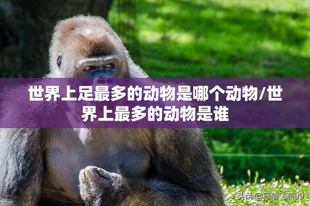 世界上足最多的动物是哪个动物/世界上最多的动物是谁