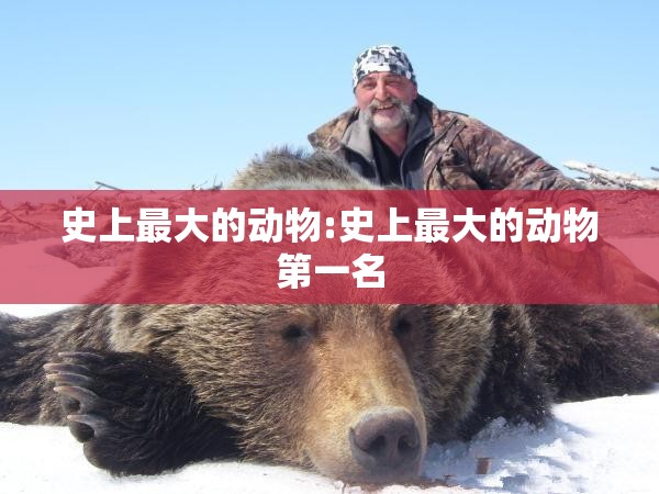 史上最大的动物:史上最大的动物第一名