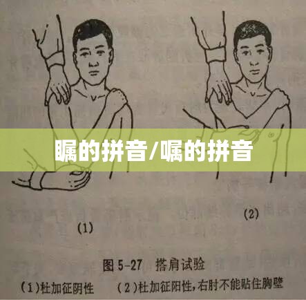瞩的拼音/嘱的拼音