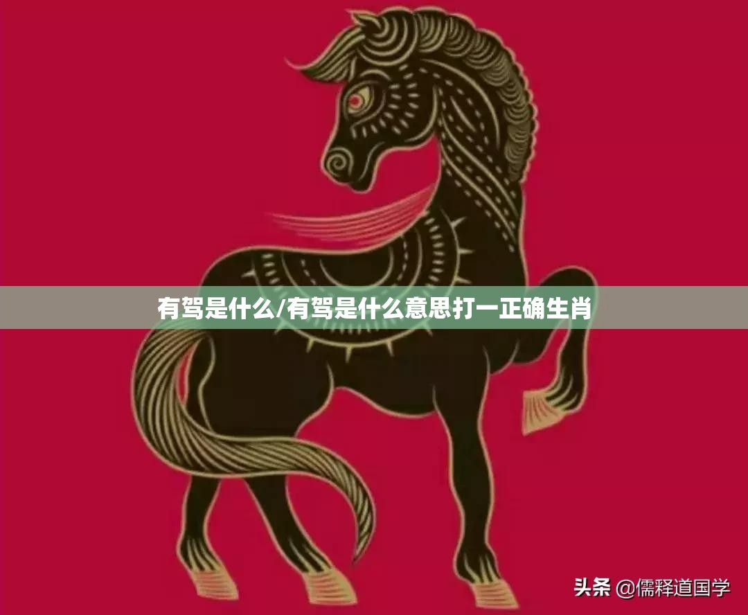 有驾是什么/有驾是什么意思打一正确生肖