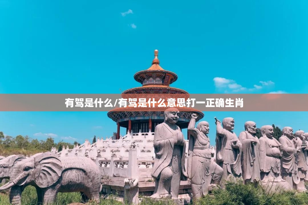 有驾是什么/有驾是什么意思打一正确生肖