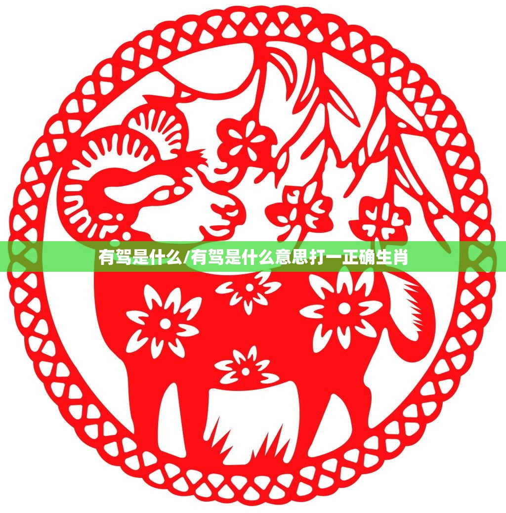 有驾是什么/有驾是什么意思打一正确生肖