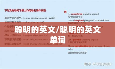 聪明的英文/聪明的英文单词