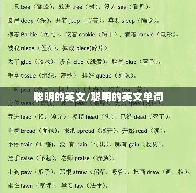 聪明的英文/聪明的英文单词