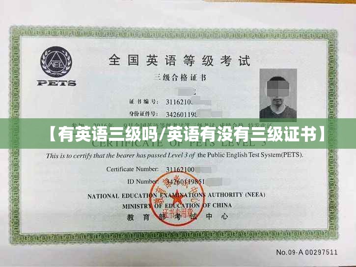 【有英语三级吗/英语有没有三级证书】