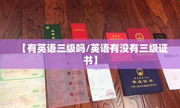 【有英语三级吗/英语有没有三级证书】