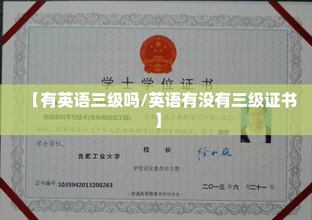 【有英语三级吗/英语有没有三级证书】