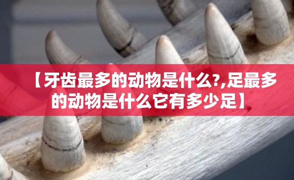 【牙齿最多的动物是什么?,足最多的动物是什么它有多少足】