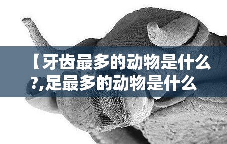 【牙齿最多的动物是什么?,足最多的动物是什么它有多少足】