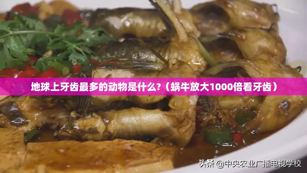 地球上牙齿最多的动物是什么?（蜗牛放大1000倍看牙齿）