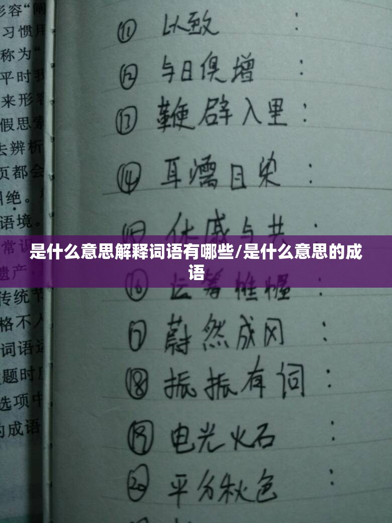 是什么意思解释词语有哪些/是什么意思的成语