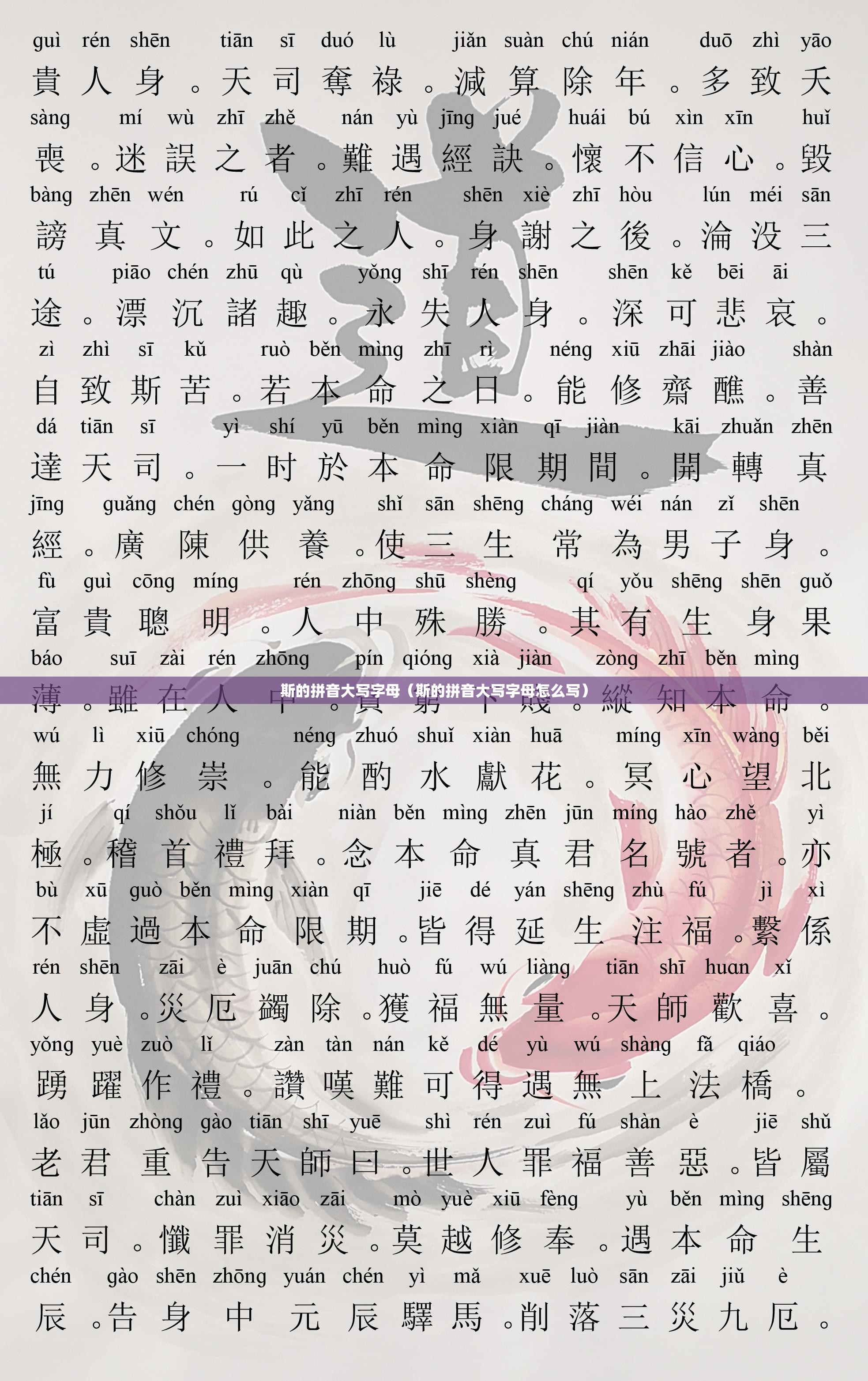 斯的拼音大写字母(斯的拼音大写字母怎么写)