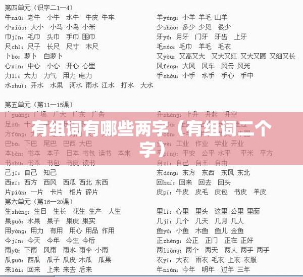 有组词有哪些两字（有组词二个字）