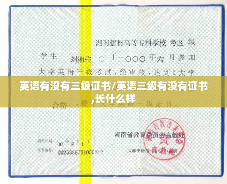 英语有没有三级证书/英语三级有没有证书,长什么样