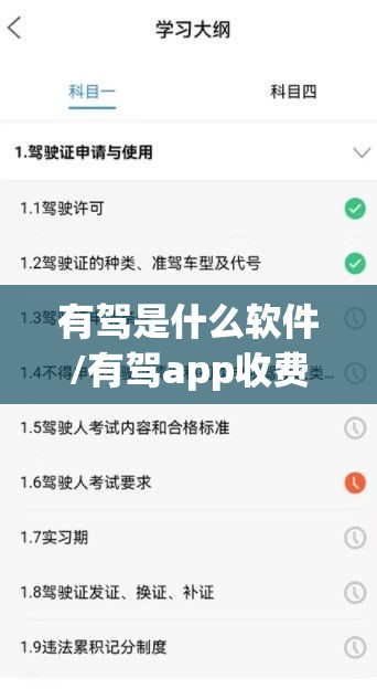 有驾是什么软件/有驾app收费吗