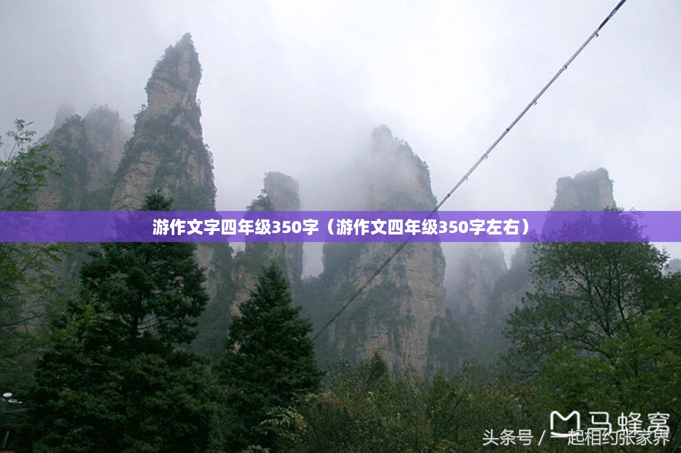 游作文字四年级350字（游作文四年级350字左右）