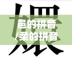 邑的拼音/柔的拼音