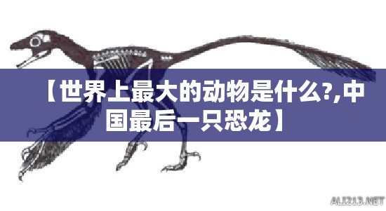 【世界上最大的动物是什么?,中国最后一只恐龙】
