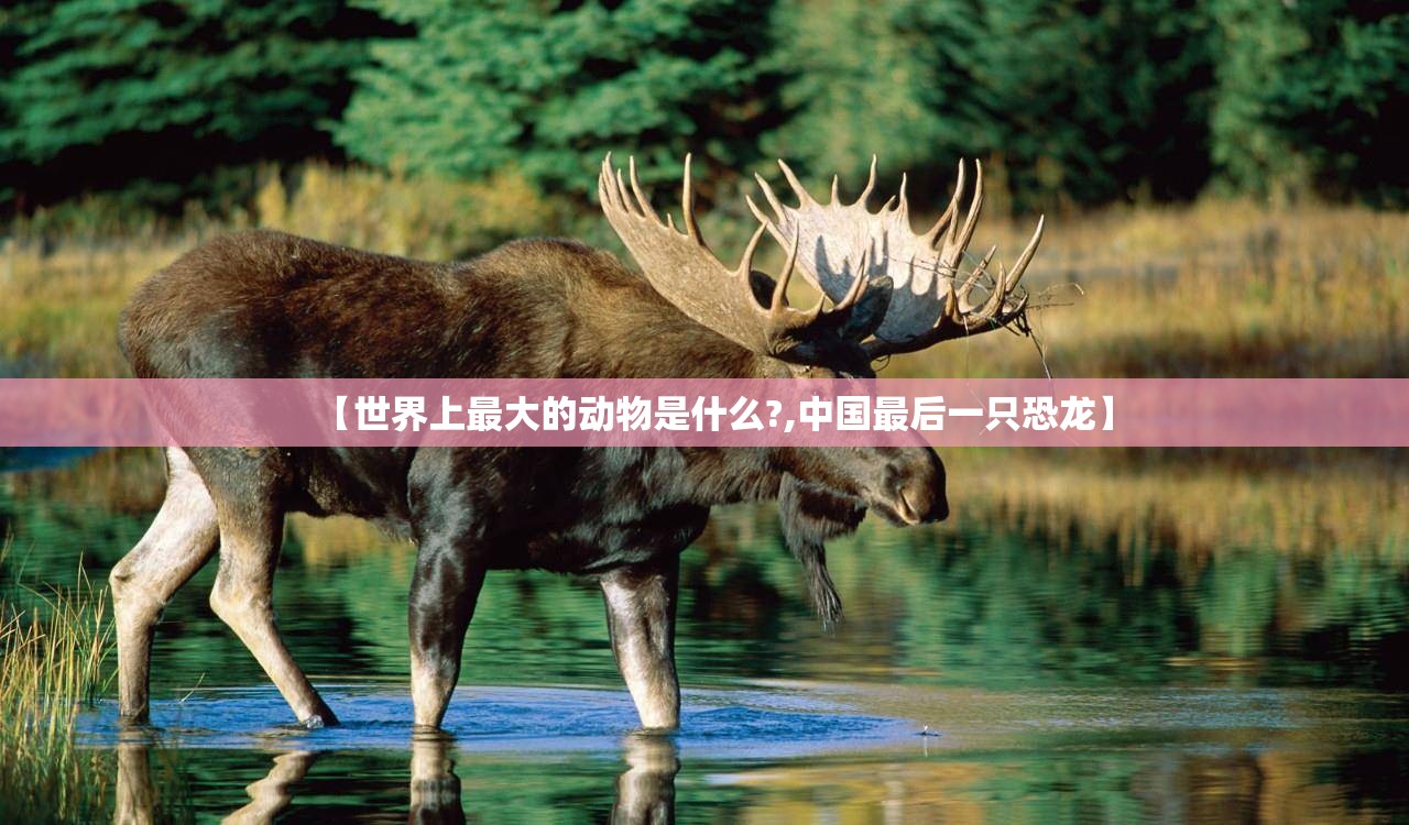 【世界上最大的动物是什么?,中国最后一只恐龙】