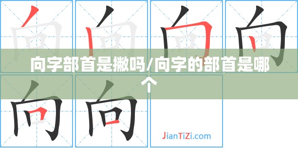 向字部首是撇吗/向字的部首是哪个