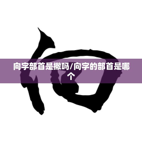 向字部首是撇吗/向字的部首是哪个