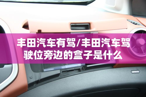 丰田汽车有驾/丰田汽车驾驶位旁边的盒子是什么