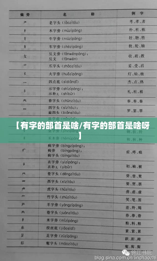 【有字的部首是啥/有字的部首是啥呀】