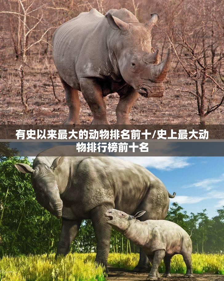 有史以来最大的动物排名前十/史上最大动物排行榜前十名