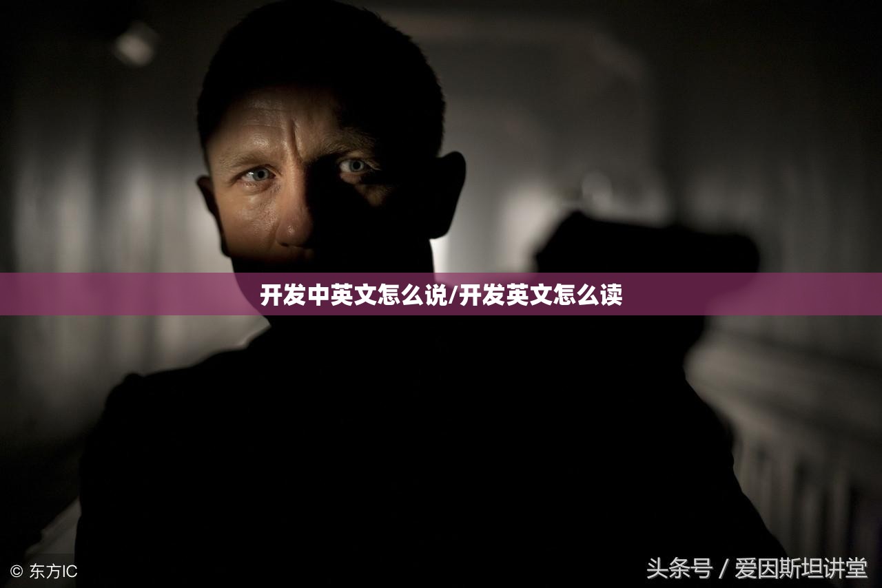 开发中英文怎么说/开发英文怎么读