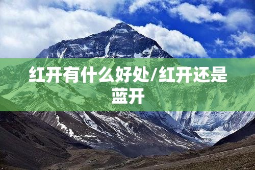红开有什么好处/红开还是蓝开