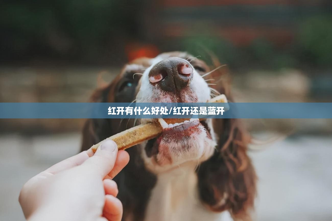 红开有什么好处/红开还是蓝开