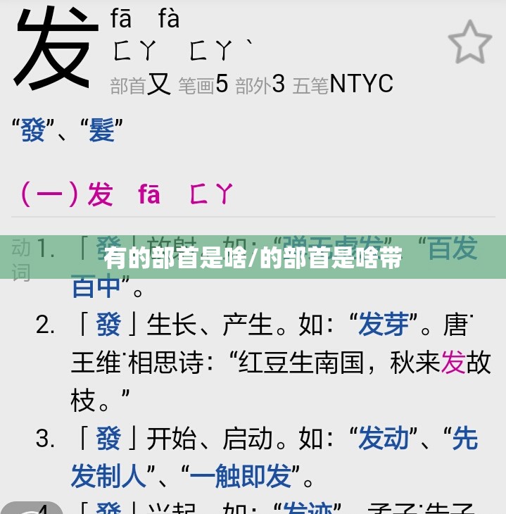 有的部首是啥/的部首是啥带
