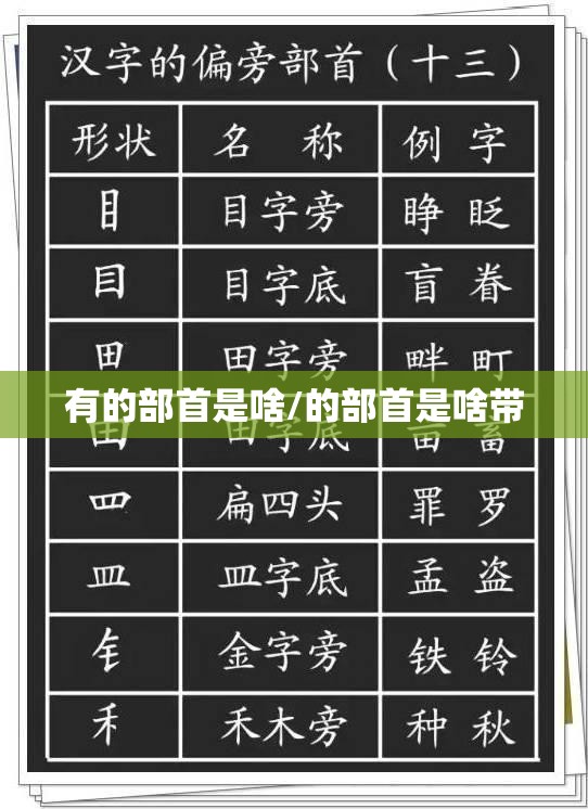 有的部首是啥/的部首是啥带