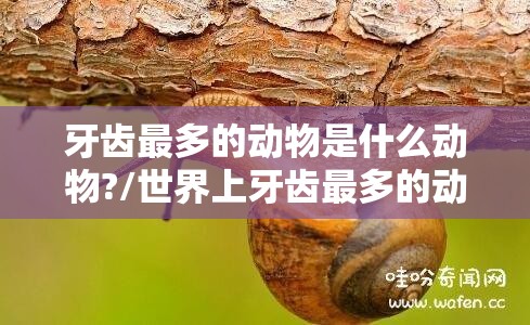 牙齿最多的动物是什么动物?/世界上牙齿最多的动物是什么动物