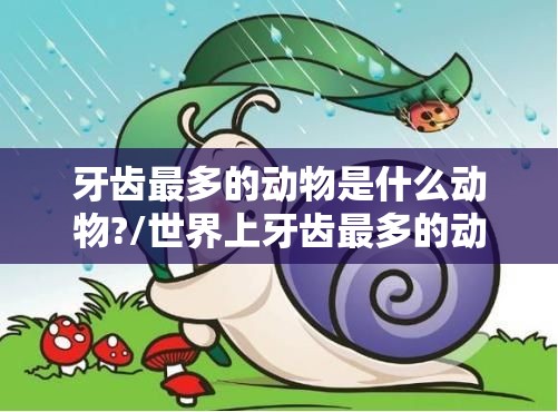 牙齿最多的动物是什么动物?/世界上牙齿最多的动物是什么动物