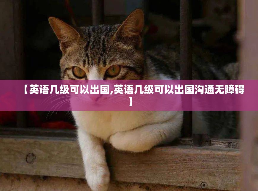 【英语几级可以出国,英语几级可以出国沟通无障碍】